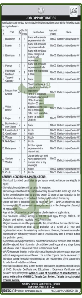 WAPDA Jobs Advertisement 2025