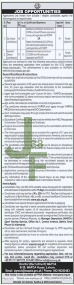 WAPDA Assistant Director Job 2025 Advertisement